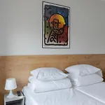 Moho Xl Hostel